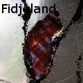 EvaFidjeland